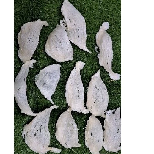 Birds Nest/Sarang Burung Walet Oval Besar Kering Mentah 10gr - 25gr