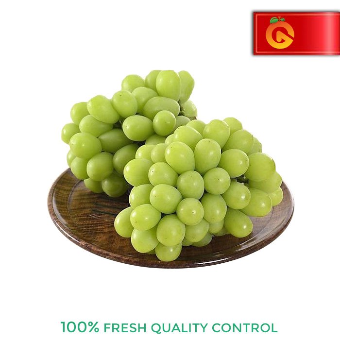

BUAH ANGGUR HIJAU MUSCAT FRESH 500 GRAM