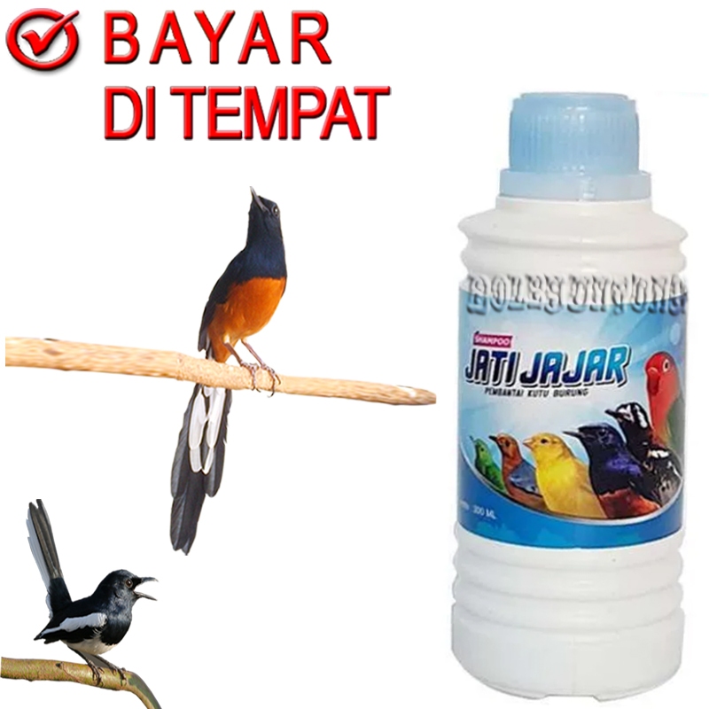 EBOD JATI JAJAR SAMPO BURUNG ANTI KUTU SHAMPO BASMI PARASIT