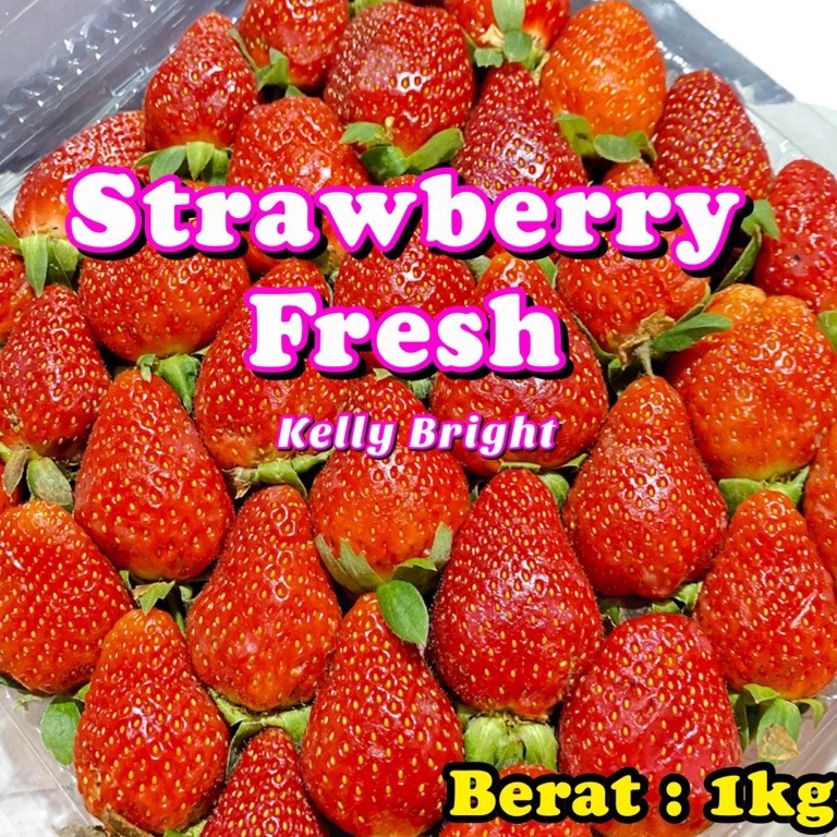 

⚡BEST SELLER⚡ Strawberry Fresh Kelly Bright ±900gr - 1kg