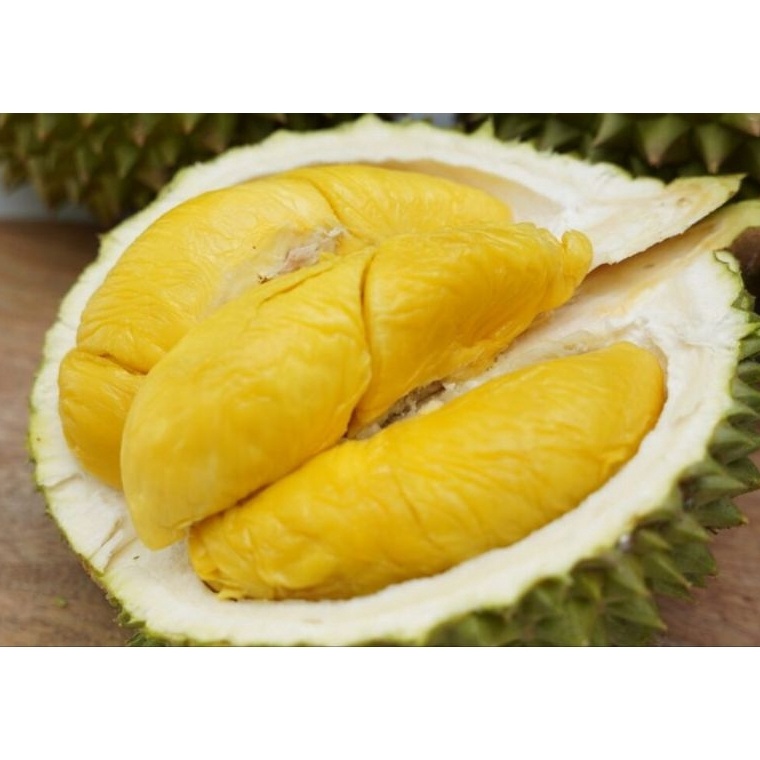 

PAKET LENGKAP>>> ini bkn durian