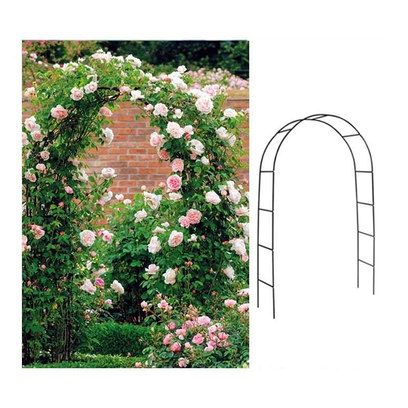 AJIR LENGKUNG RAMBATAN TANAMAN DEKORASI TAMAN HIASAN WEDDING