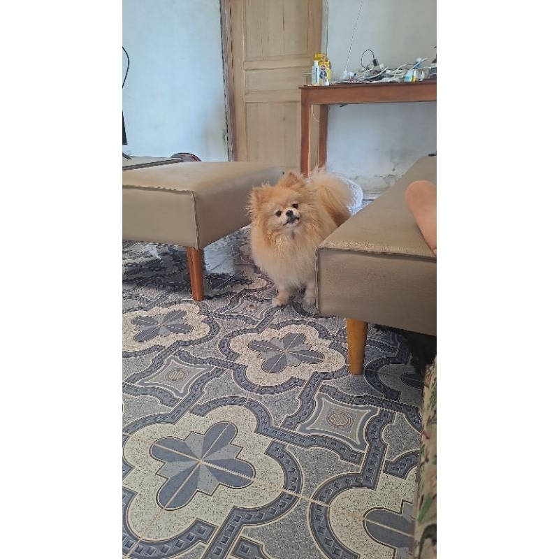 pc sehun love shot dan do countdown booked