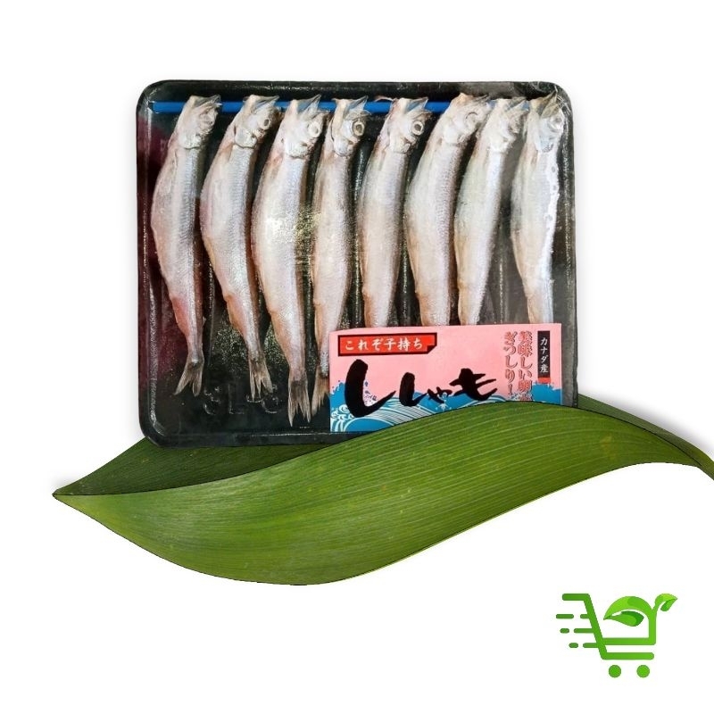 

ikan shisamo capelin isi telur isi 8 pcs