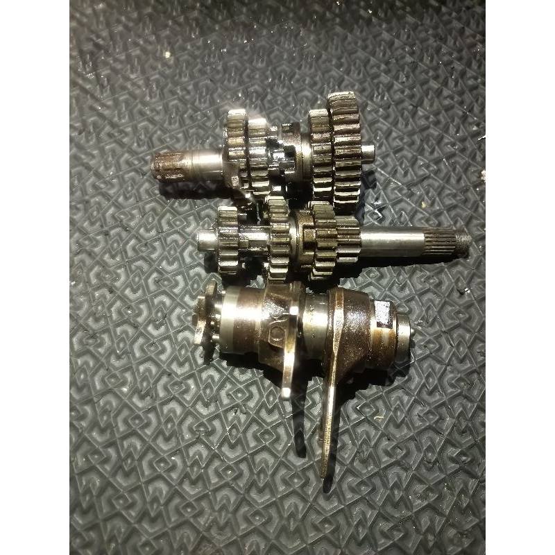 Gigi rasio dan capit udang absolute Revo original copotan