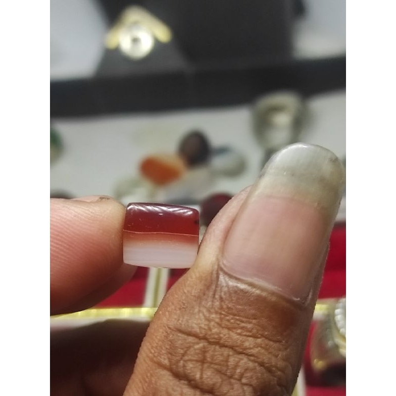 calsidony bendera merah putih