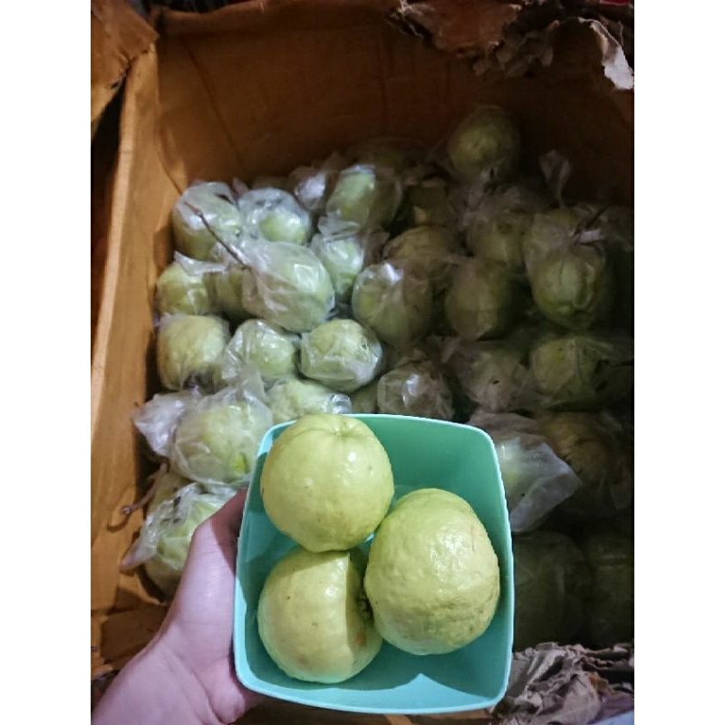 

Jambu Kristal 1kg