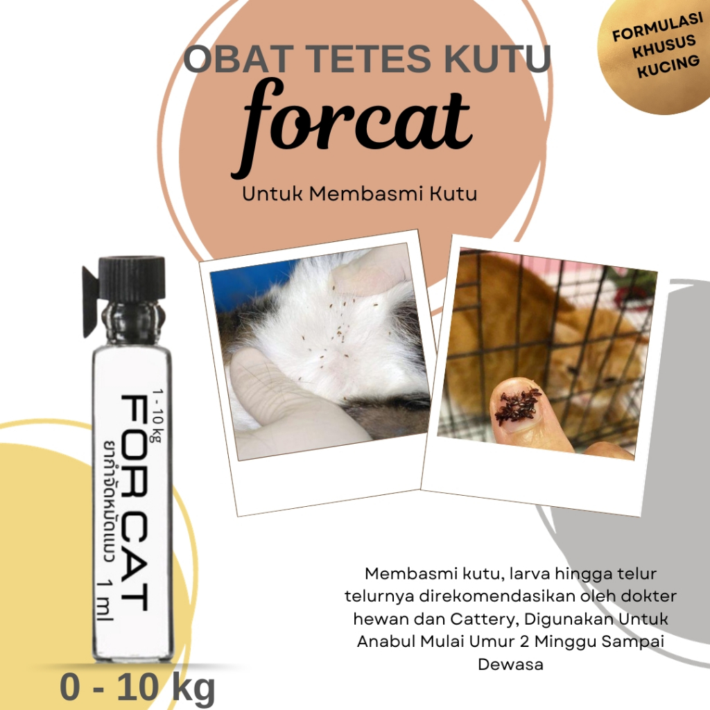 FORCAT Obat Kutu Kucing & Anjing Tetes Tengkuk - 100% ORIGINAL THAILAND ukuran 1ml