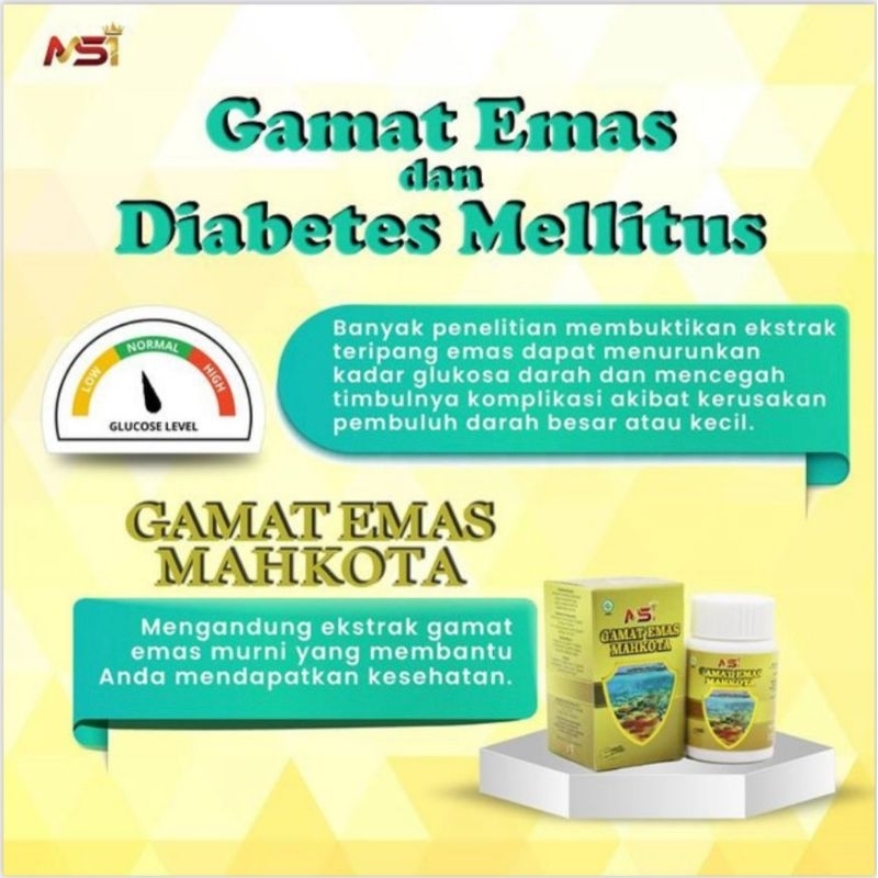 Gamat Gamalife | Gamat Teripang Emas