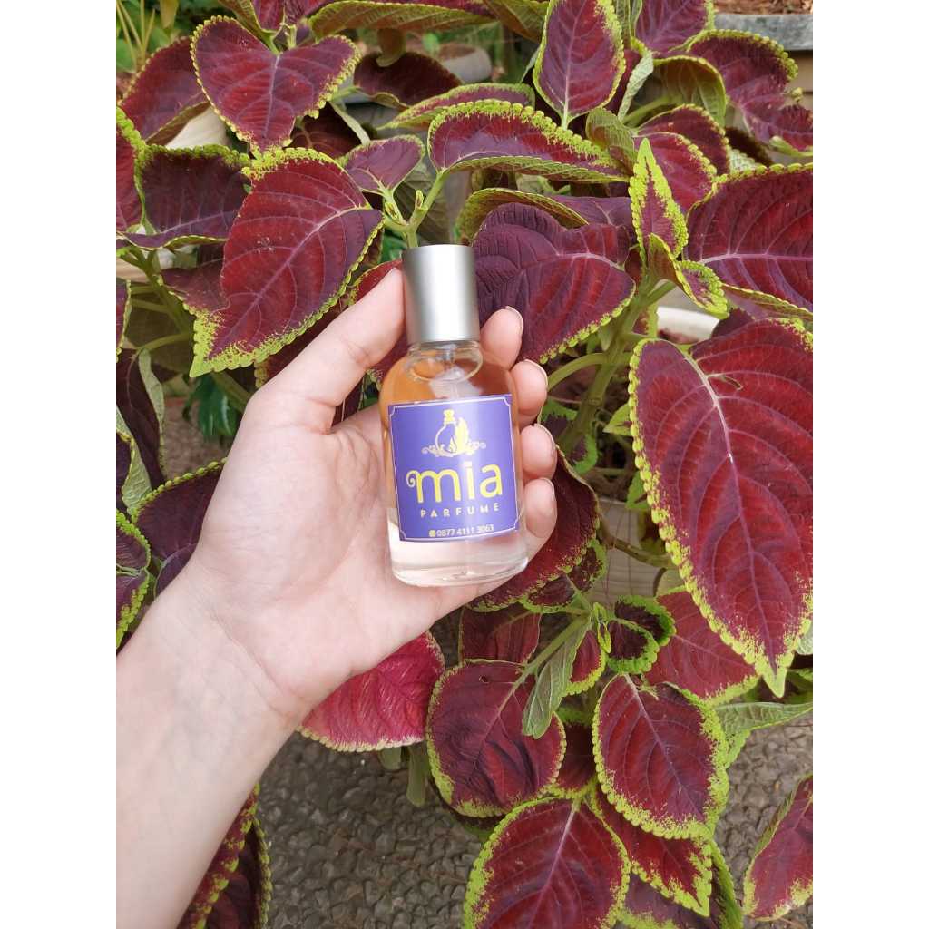 parfum by inspired aqva bulgari