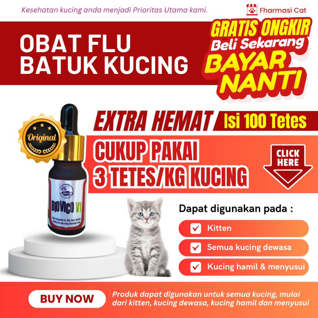 Obat Flu Pilek Dan Batuk Kucing paling Ampuh BIOVICO V1