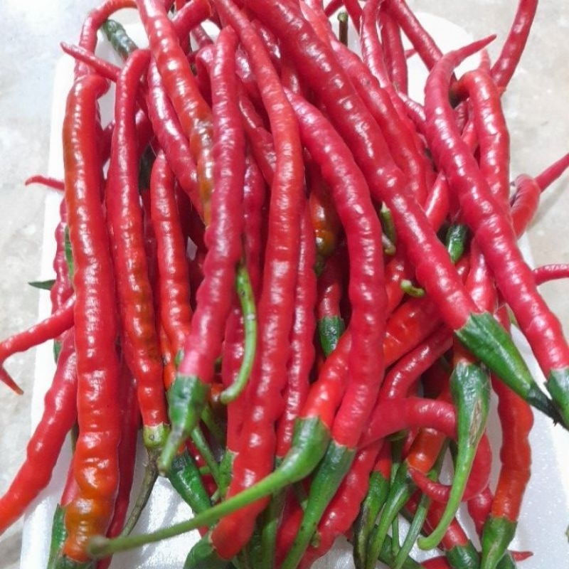 

Cabe Merah keriting 250gram