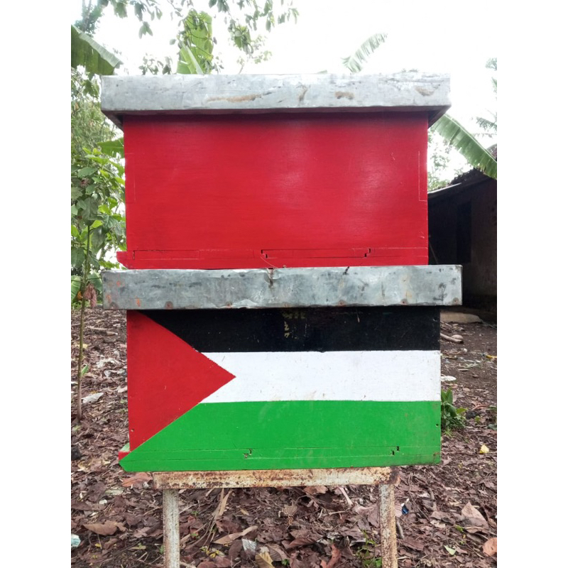 Kotak lebah apis mellifera