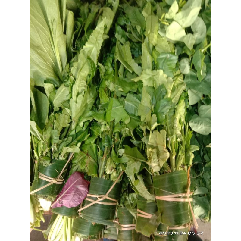 

Daun pakis sayur fresh 1 ikat ( pasar )