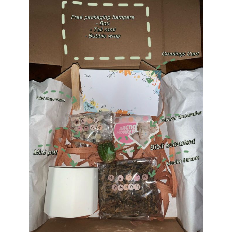 Hampers Kaktus | Hampers Sukulen Hias | Hampers Birthday ulang tahun Christmas Natal | gift box | Ka