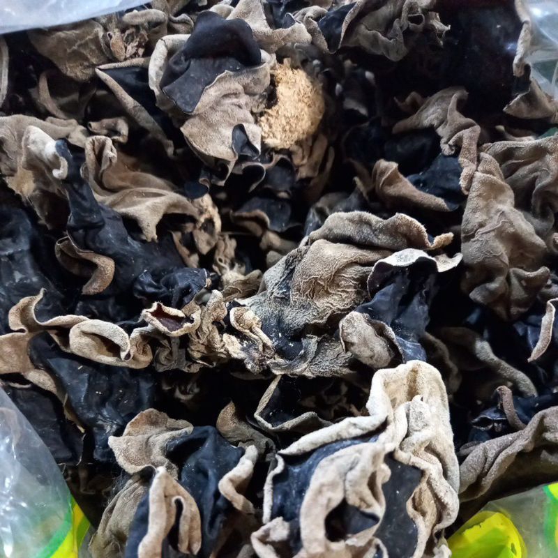 

JAMUR KUPING KERING /LOKAL SUPER/KUALITAS SUPER 100 GR