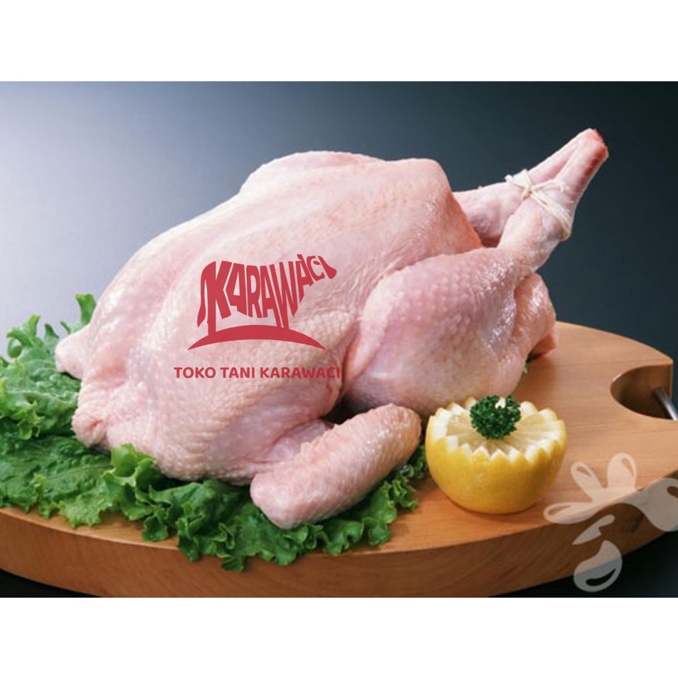 

HJXG7084 9.9 BRANDS FESTIVAL Ayam Broiler Karkas / Ekor 0.9-1