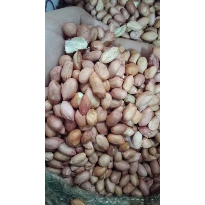 

Kacang tanah 250 , 500 , 1000 g