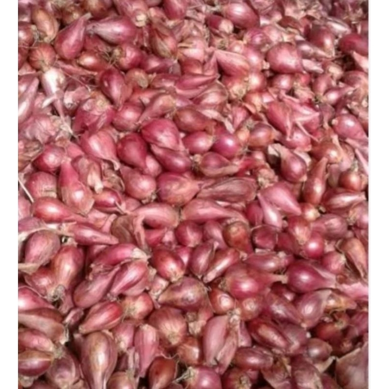 

bawang merah brebes