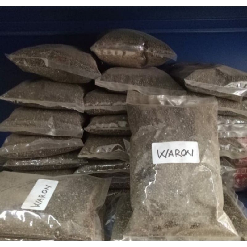 

Biji Waron Biji Kapasan Kering Herbal