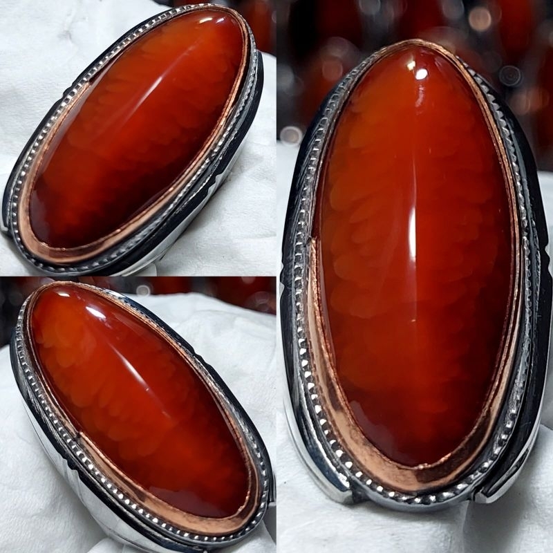 Pandan merah sisik BTOK