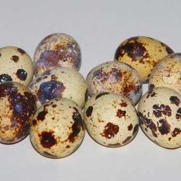 

TELUR PUYUH SUPER _ 500GR