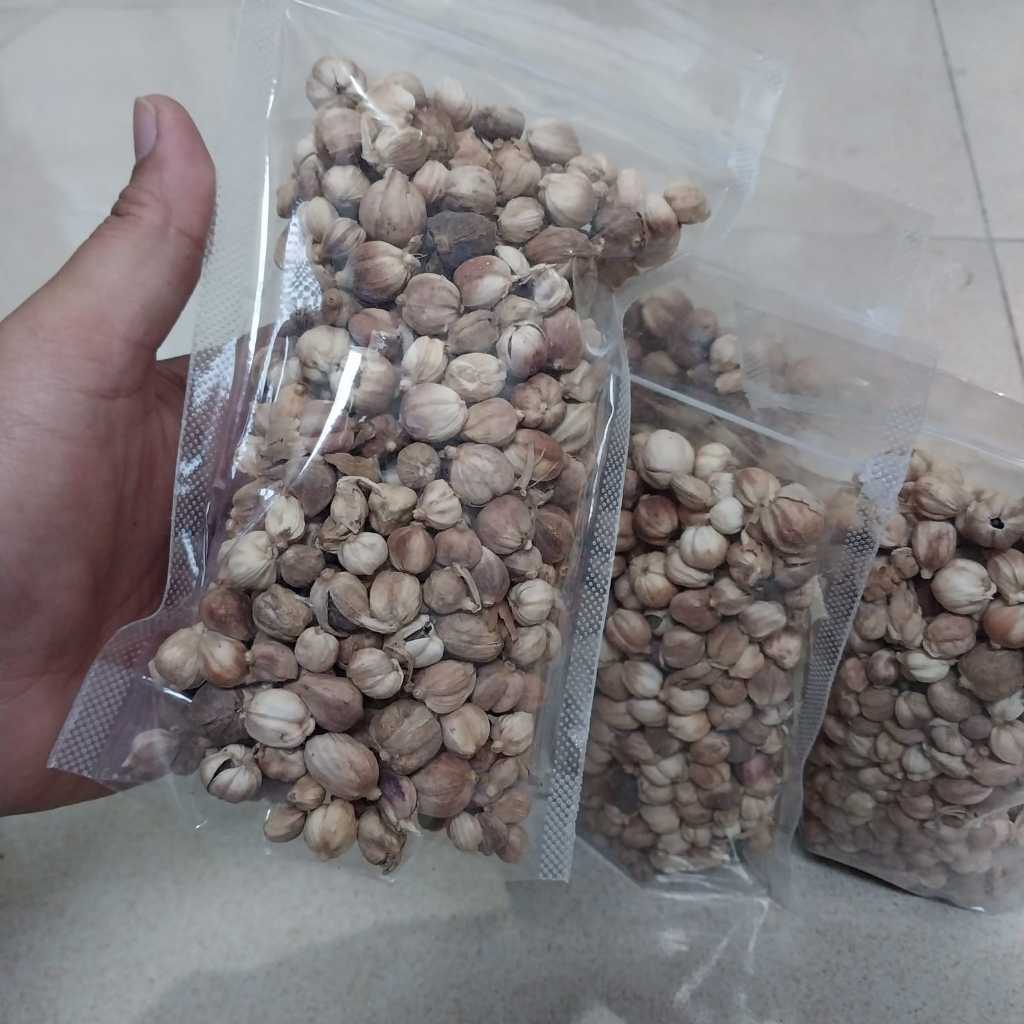 Kapulaga Kering 100 Gram Murah Kadar Air 20%