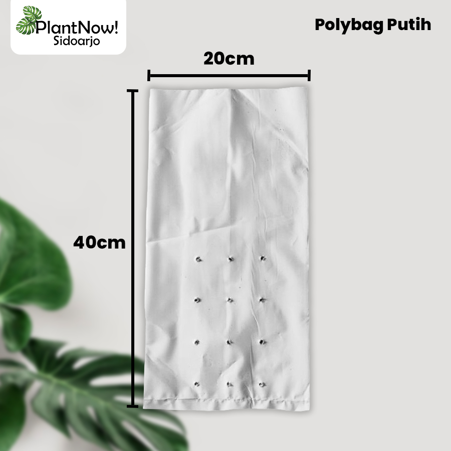 POLYBAG PUTIH MONGGO MAS Uk 40/20x40 - 1 Pack