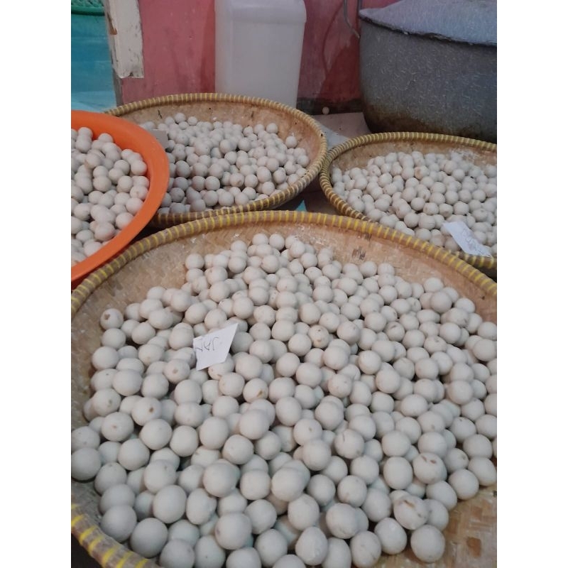 

baso aci isi jando sapi isi 10 butir enak gurih harga reseller