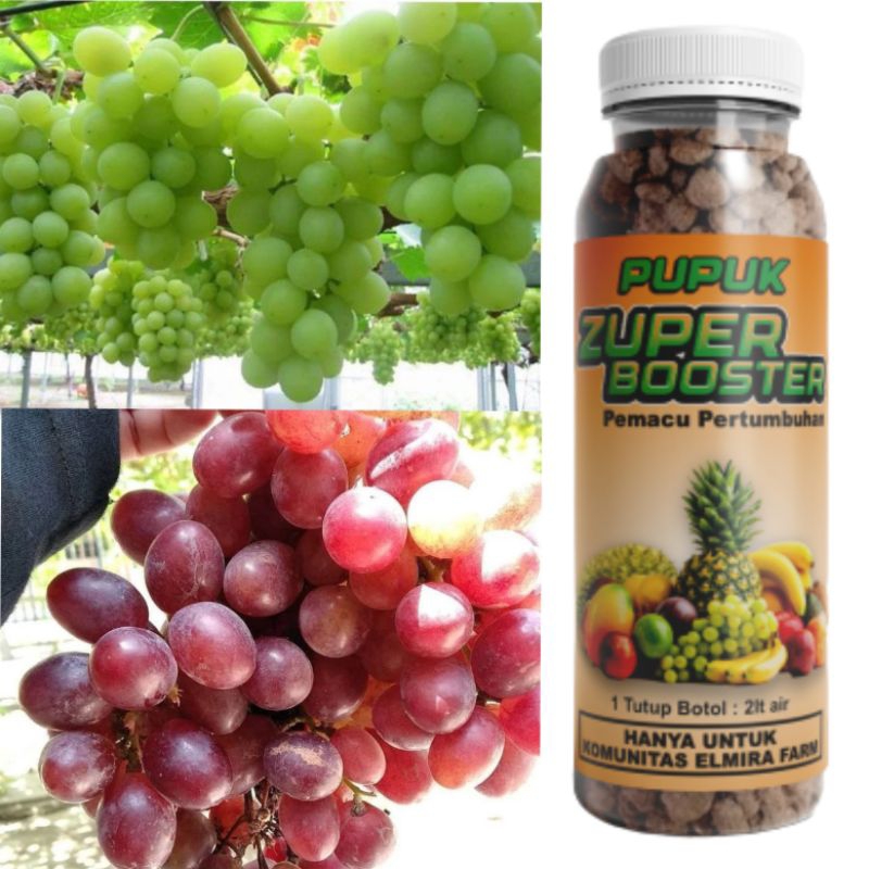 Pupuk zuper booster pupuk organik