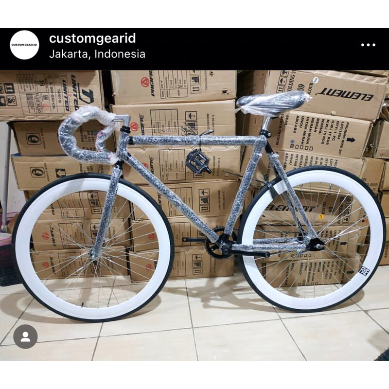 Fixie Custom