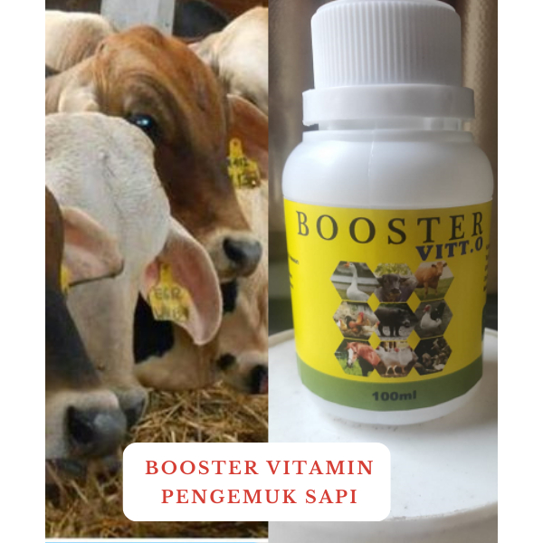 Vitamin Sapi Penggemuk – Bikin Sapi Sehat, Berat Naik, Daging Lebih Padat