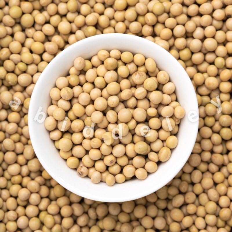 

Kacang Kedelai Utuh Soy Bean Organik High Quality 1 KG - Grade A