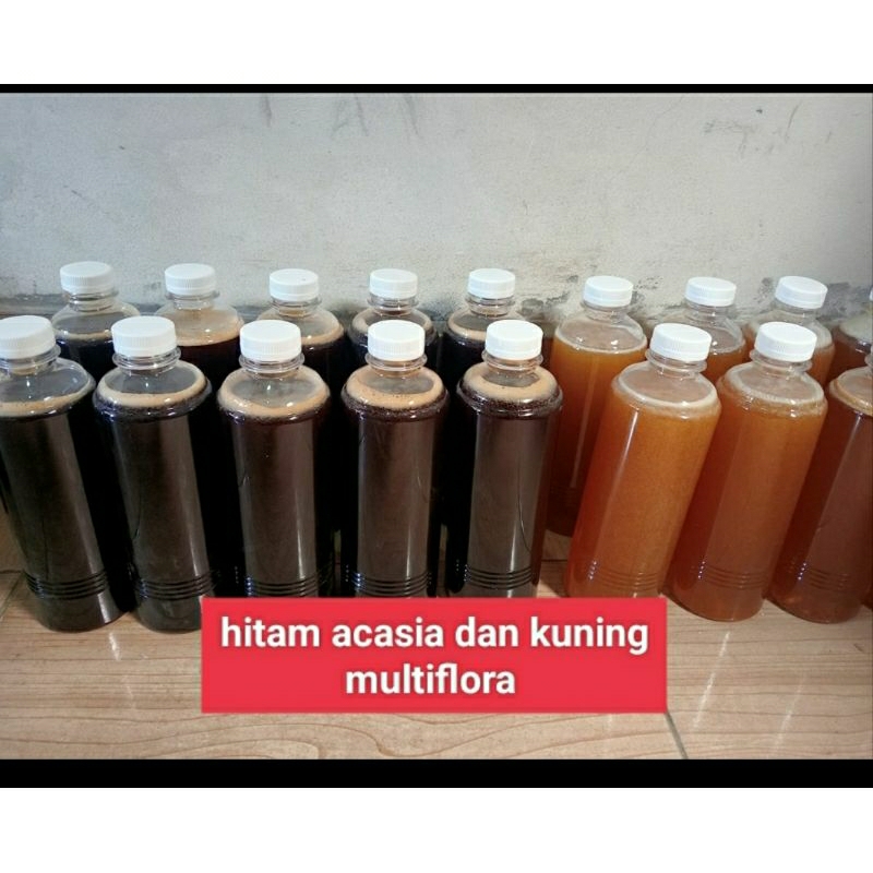 

MADU HUTAN ASLI
