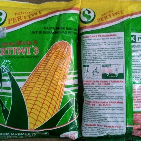 

JAGUNG PERTIWI 3 1KG