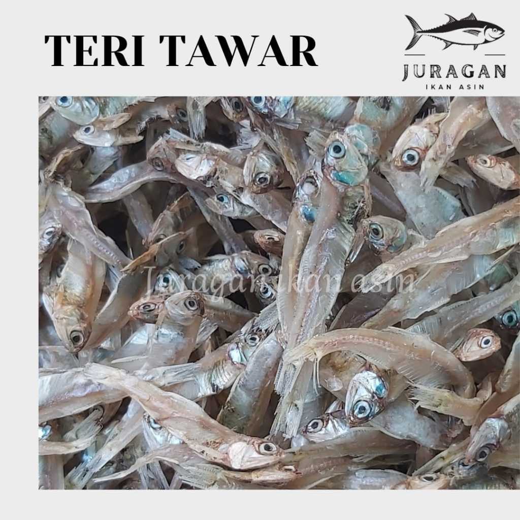 

IKAN TERI TAWAR KEMASAN 250GR BISA COD / TERSEDIA HARGA GROSIR