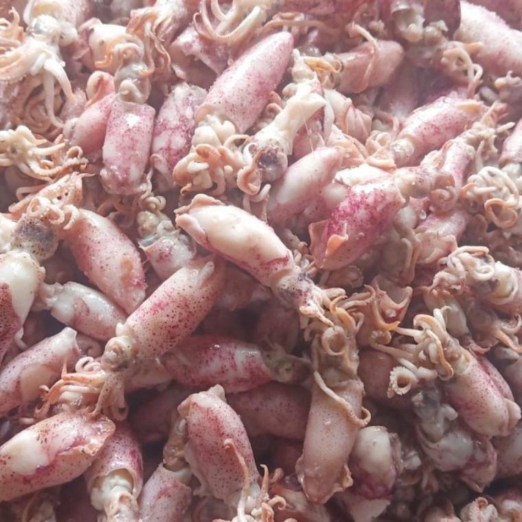 

LBGM4071 【MEGA SALE】 Ikan asin cumi Beby 500gr 1sampai 4cm/cumi asin baby /rebus/basa/cumi asin baby