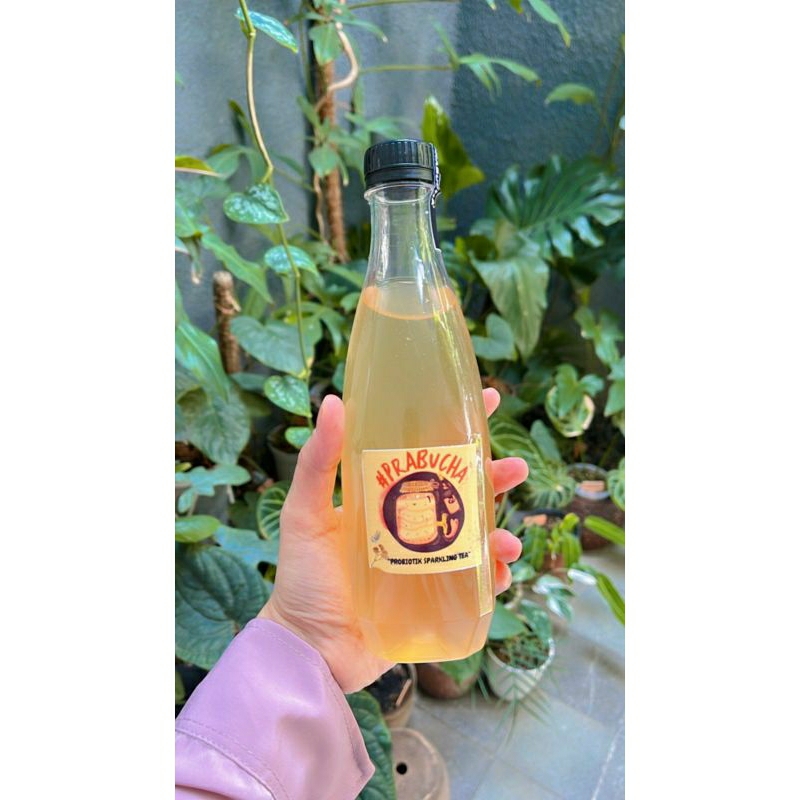 

kombucha (Prabucha)