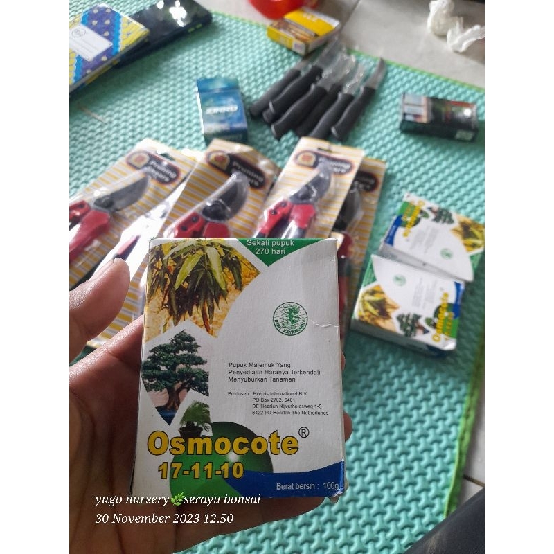 Pupuk Dekastar Plus 13 13 13 Pupuk Anggrek Pupuk Aglonema Pupuk Majemuk 100gram DekastarPlus ORI