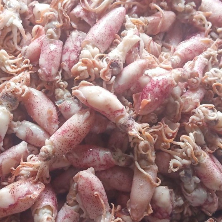 

Diskon Ikan asin cumi Beby 500gr 1sampai 4cm/cumi asin baby /rebus/basa/cumi asin baby
