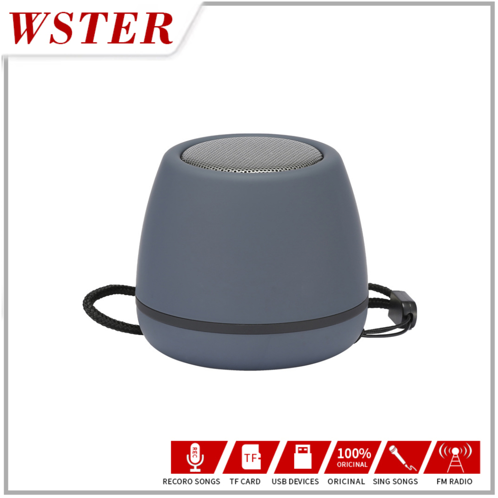 WSTER Original Mic Karaoke microphone Bluetooth wireless WS-807