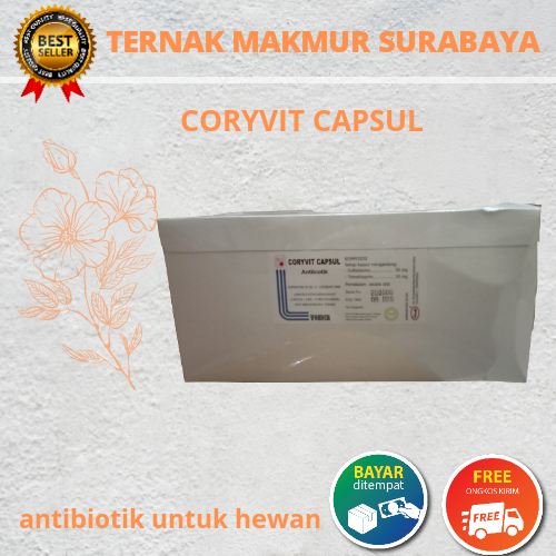 Coryvit Kapsul (harga per dus)