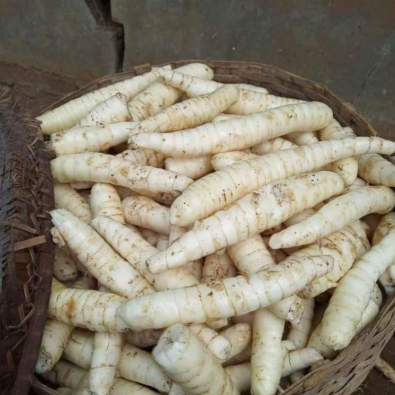 

Tepung Garut Untuk Asam Lambung dan Maag / Penyembuh Asam Lambung dan Maag / Tepung Angkrik 500 gram / Pati Asam Lambung