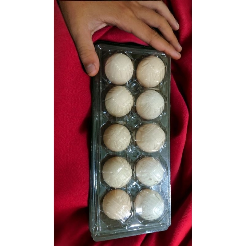 

TELUR AYAM KAMPUNG 10 BUTIR