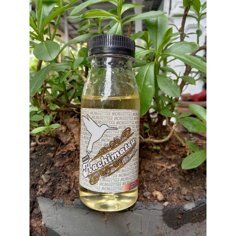 Nektar HACHIMATSU PUTIH Pakan Burung Kolibri Sogon Konin