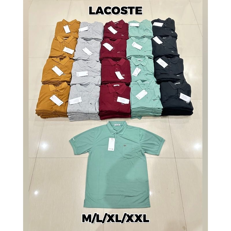 KAOS POLO LACOSTE