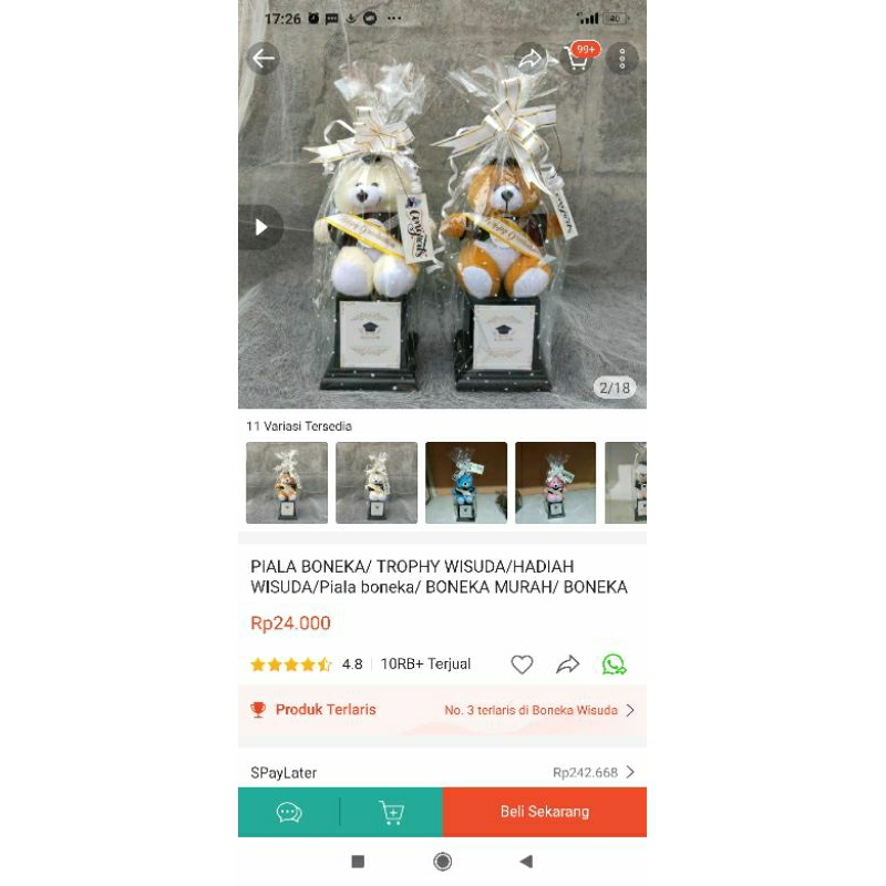 piala boneka / trophy boneka / hadiah wisuda