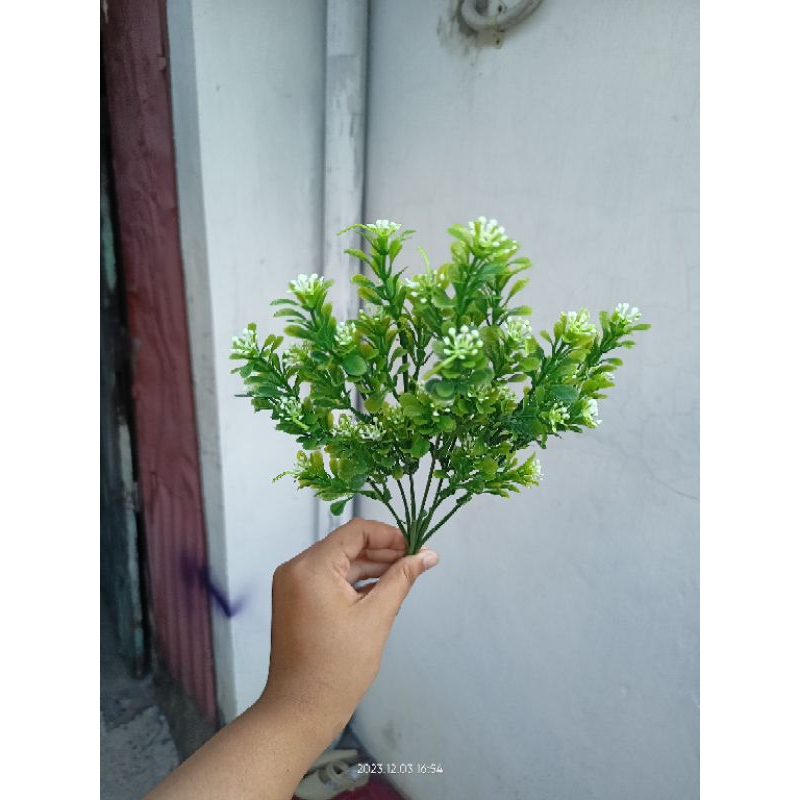 baby breath dollar asoka artificial