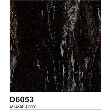 Granit Torch D6053 60x60cm Glazed Polished