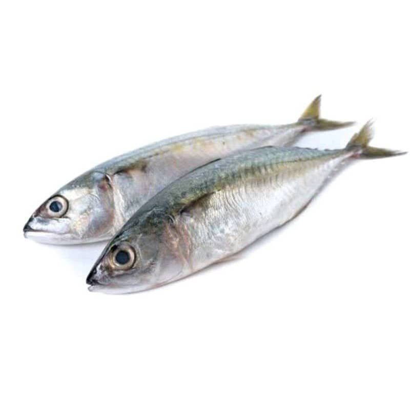 

Ikan Kembung /Ikan Layang Fresh